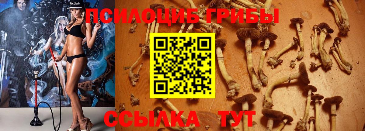 Псилоцибиновые грибы Magic Shrooms Сыктывкар