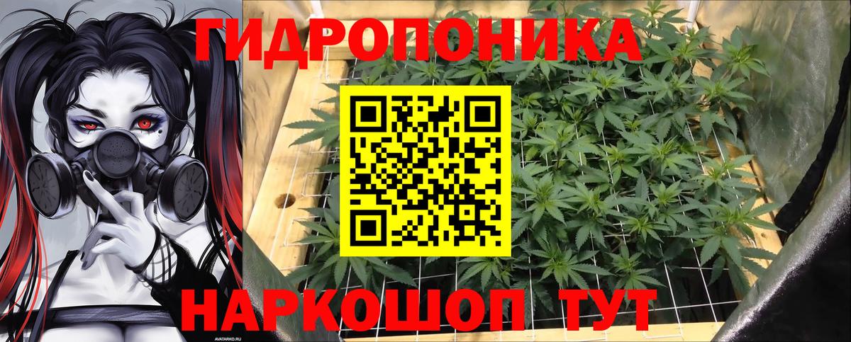 Бошки марихуана VHQ  Марихуана ГИДРОПОН  Канабис тримм  Шишки марихуана White Widow  Сыктывкар  Вход с VPN 